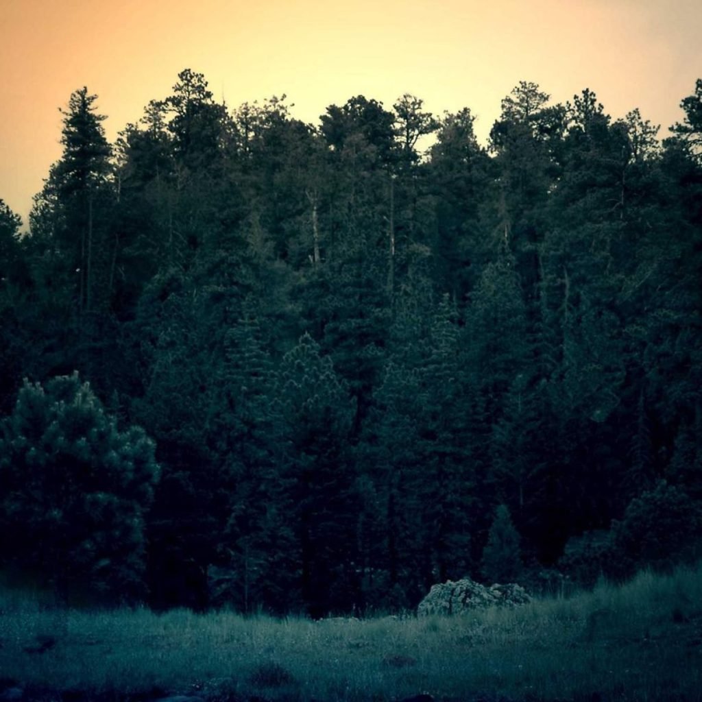 Development photograph for project 04