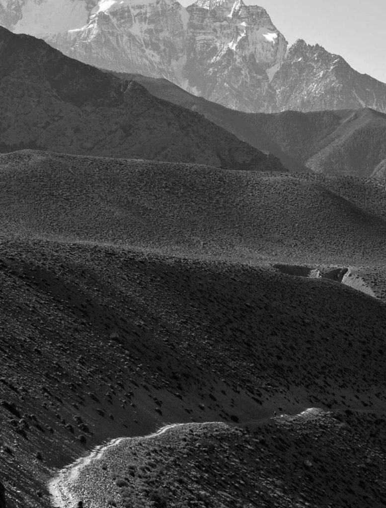 Development photograph for project 17